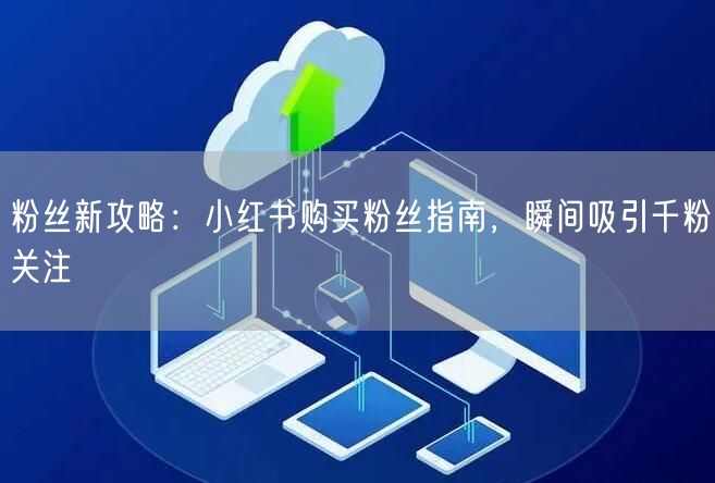 粉丝新攻略：小红书购买粉丝指南，瞬间吸引千粉关注