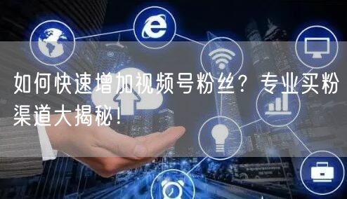 如何快速增加视频号粉丝？专业买粉渠道大揭秘！