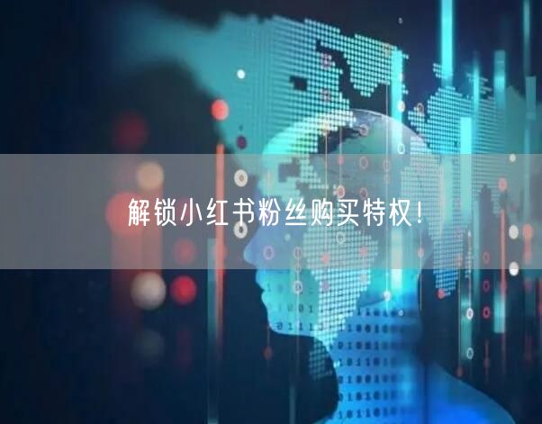 解锁小红书粉丝购买特权！