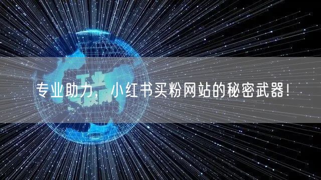 专业助力，小红书买粉网站的秘密武器！