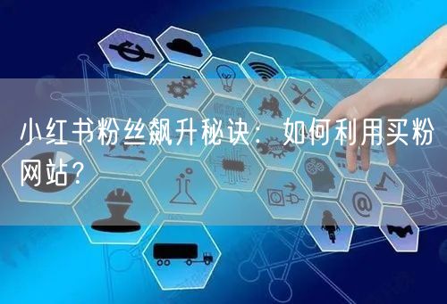 小红书粉丝飙升秘诀：如何利用买粉网站？