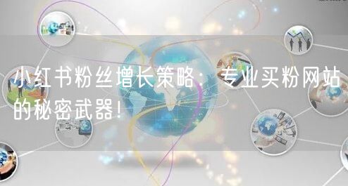 小红书粉丝增长策略：专业买粉网站的秘密武器！