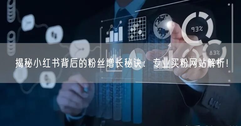 揭秘小红书背后的粉丝增长秘诀：专业买粉网站解析！