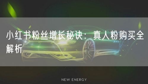 小红书粉丝增长秘诀：真人粉购买全解析