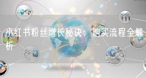 小红书粉丝增长秘诀：购买流程全解析