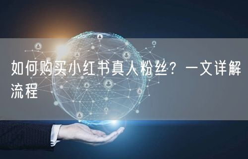 如何购买小红书真人粉丝？一文详解流程
