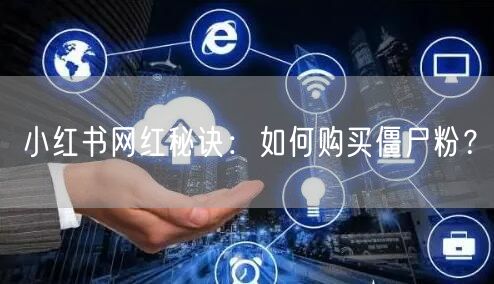 小红书网红秘诀：如何购买僵尸粉？