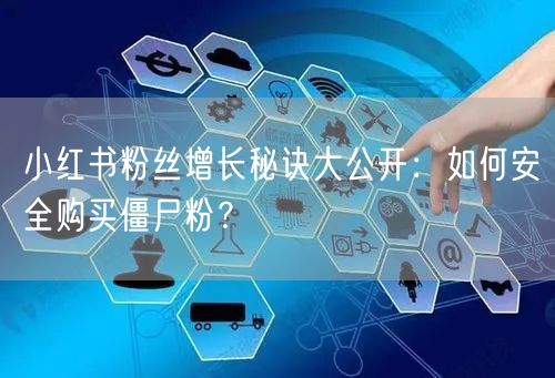 小红书粉丝增长秘诀大公开：如何安全购买僵尸粉？