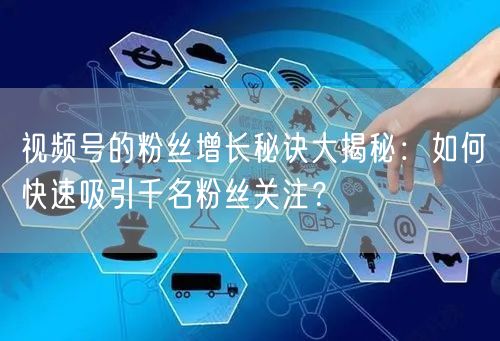 视频号的粉丝增长秘诀大揭秘：如何快速吸引千名粉丝关注？
