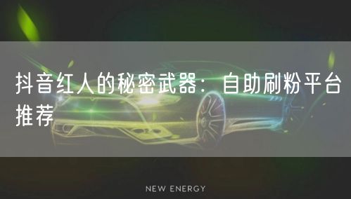 抖音红人的秘密武器：自助刷粉平台推荐