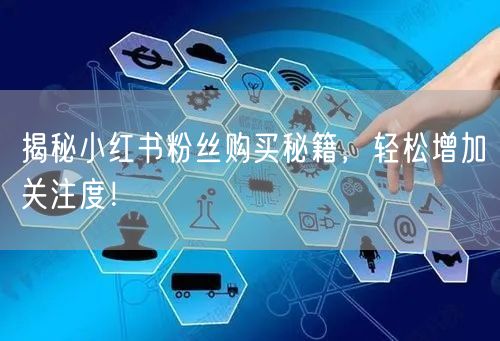 揭秘小红书粉丝购买秘籍,轻松增加关注度!