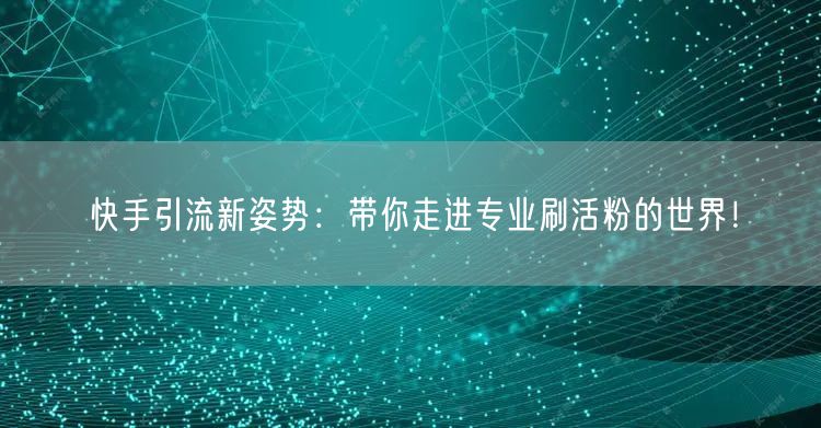 快手引流新姿势：带你走进专业刷活粉的世界！