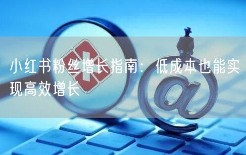 小红书粉丝增长指南：低成本也能实现高效增长