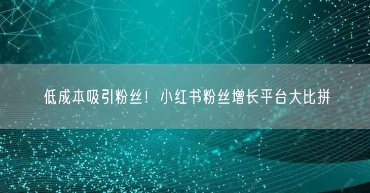 低成本吸引粉丝！小红书粉丝增长平台大比拼
