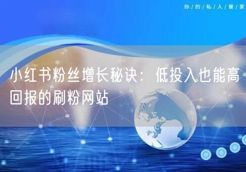 小红书粉丝增长秘诀：低投入也能高回报的刷粉网站