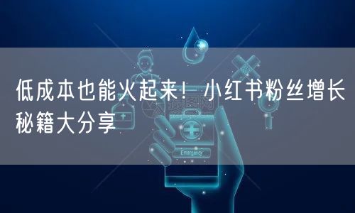 低成本也能火起来！小红书粉丝增长秘籍大分享