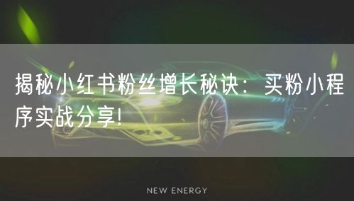 揭秘小红书粉丝增长秘诀：买粉小程序实战分享!