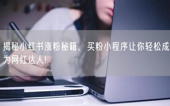 揭秘小红书涨粉秘籍，买粉小程序让你轻松成为网红达人!