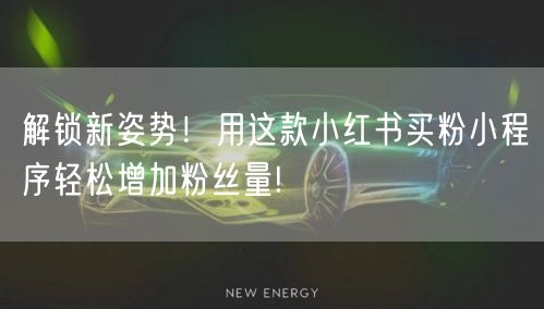 解锁新姿势！用这款小红书买粉小程序轻松增加粉丝量!