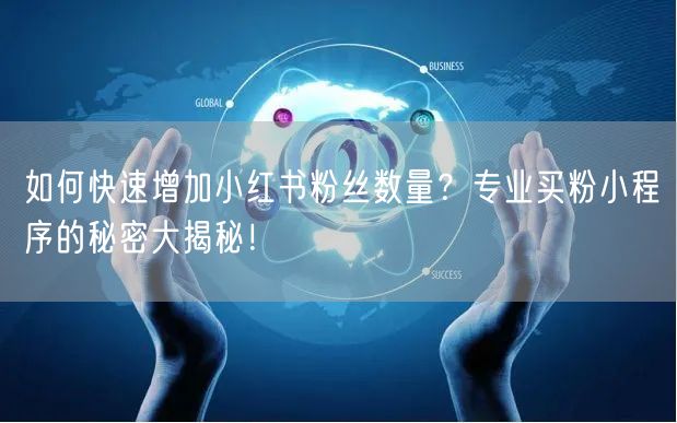 如何快速增加小红书粉丝数量？专业买粉小程序的秘密大揭秘！