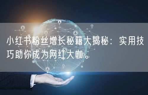 小红书粉丝增长秘籍大揭秘：实用技巧助你成为网红大咖。