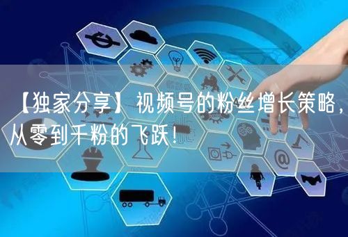 【独家分享】视频号的粉丝增长策略，从零到千粉的飞跃！