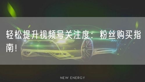 轻松提升视频号关注度：粉丝购买指南！
