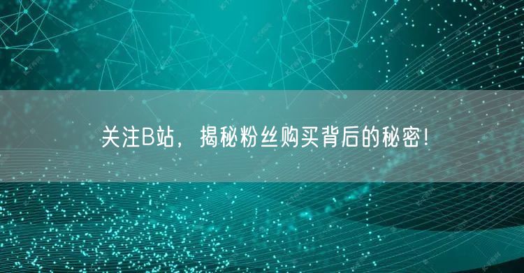 关注B站，揭秘粉丝购买背后的秘密！