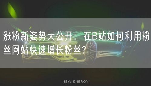 涨粉新姿势大公开：在B站如何利用粉丝网站快速增长粉丝?
