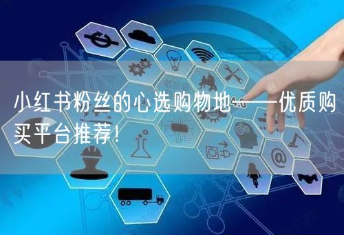 小红书粉丝的心选购物地——优质购买平台推荐！