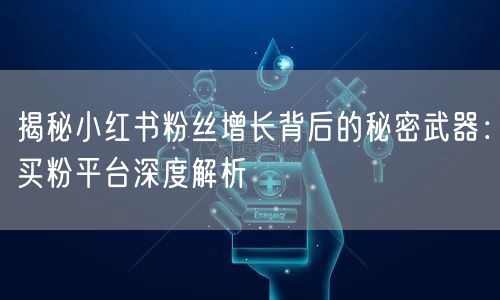 揭秘小红书粉丝增长背后的秘密武器：买粉平台深度解析