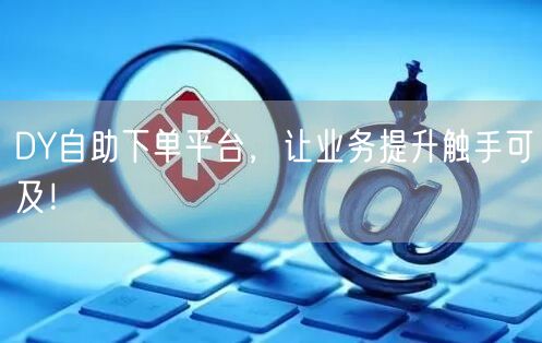 DY自助下单平台，让业务提升触手可及！