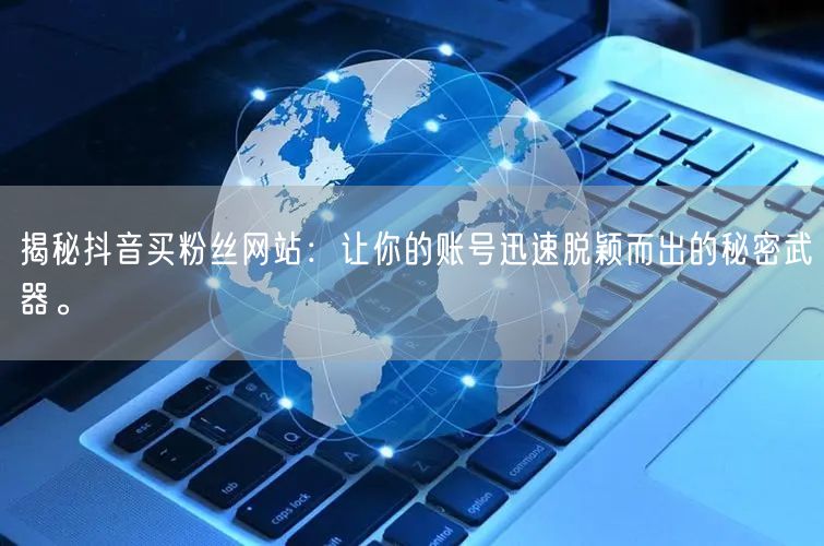 揭秘抖音买粉丝网站：让你的账号迅速脱颖而出的秘密武器。