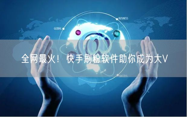 全网最火！快手刷粉软件助你成为大V