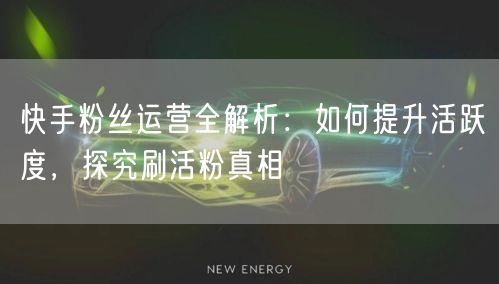 快手粉丝运营全解析：如何提升活跃度，探究刷活粉真相