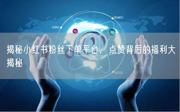 揭秘小红书粉丝下单平台，点赞背后的福利大揭秘