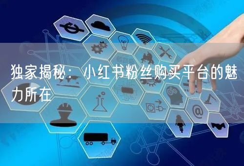 独家揭秘：小红书粉丝购买平台的魅力所在