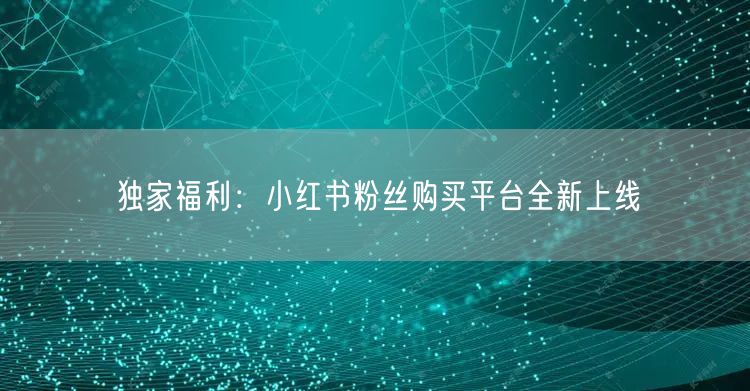 独家福利：小红书粉丝购买平台全新上线