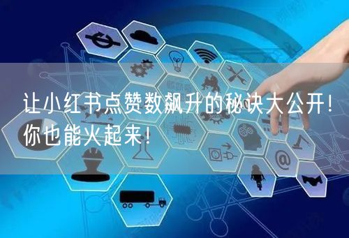 让小红书点赞数飙升的秘诀大公开！你也能火起来！