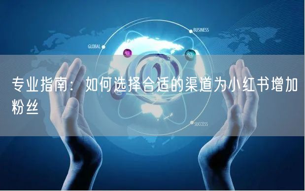 专业指南：如何选择合适的渠道为小红书增加粉丝