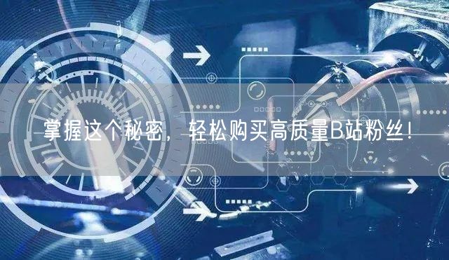 掌握这个秘密，轻松购买高质量B站粉丝！