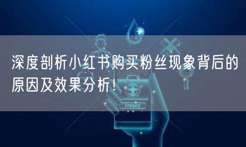 深度剖析小红书购买粉丝现象背后的原因及效果分析！